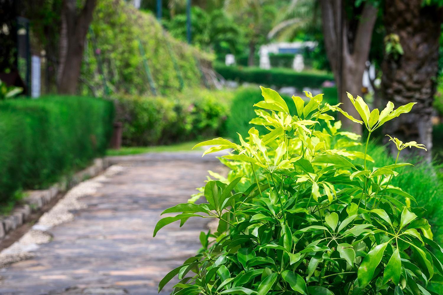 Romana Resort & Spa Mũi Né Eksteriør bilde